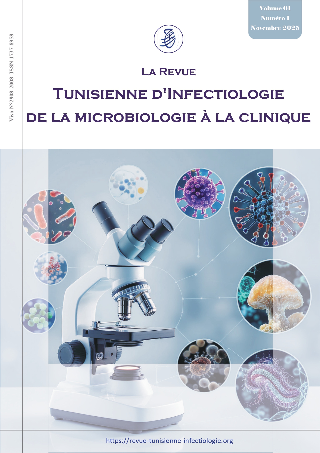 					View Vol. 1 No. 1 (2025): Volume 01 Numéro 1 Novembre 2025
				